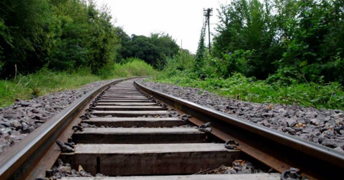 Vía de tren rodeada de vegetación vista desde el suelo, con una curva en la distancia.