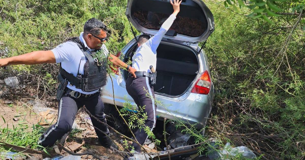 Policías viales inspeccionan un auto en un área boscosa tras un accidente en Culiacán.