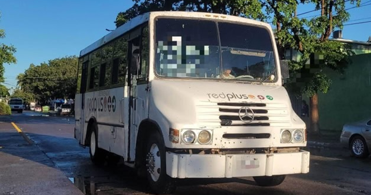 Autobús blanco de transporte público 'redplus' en calle urbana con pavimento húmedo.