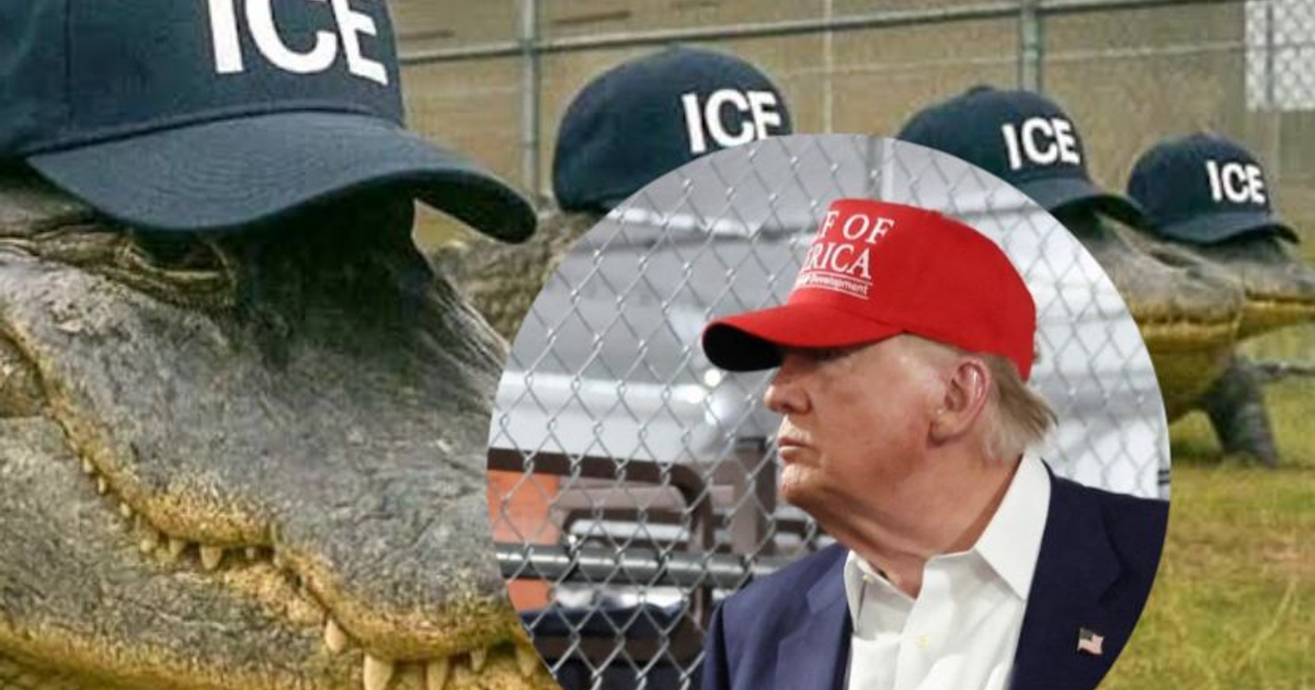 Cocodrilos con gorras 'ICE' y retrato satírico en Everglades, relacionado con el desmantelamiento de Alligator Alcatraz.