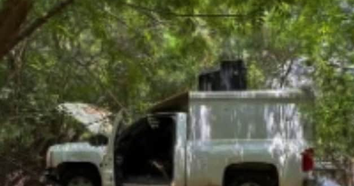 Camioneta blanca con capó abierto en área boscosa durante operativo de seguridad en Pavorreales.