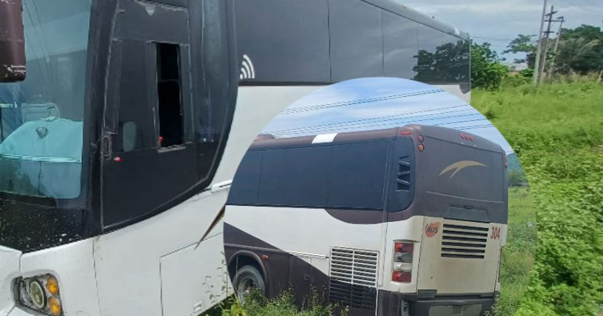Autobús con ventana rota en Mazatlán, número 304, tras incidente en carretera.