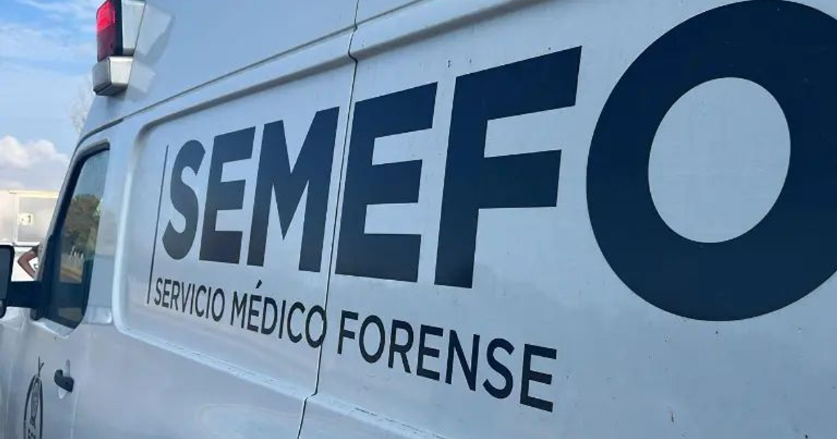 Furgoneta del SEMEFO en escena de hallazgo forense en Vinaterías
