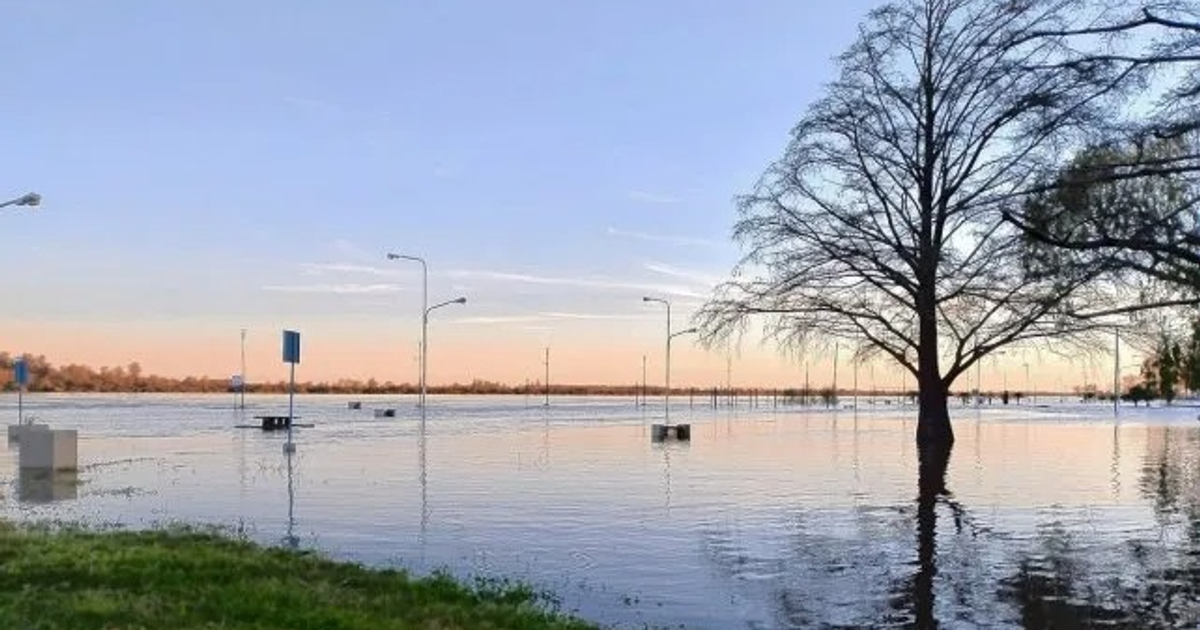 Inundación en Concordia con postes de luz y señales de tráfico sumergidos, cielo claro al fondo.