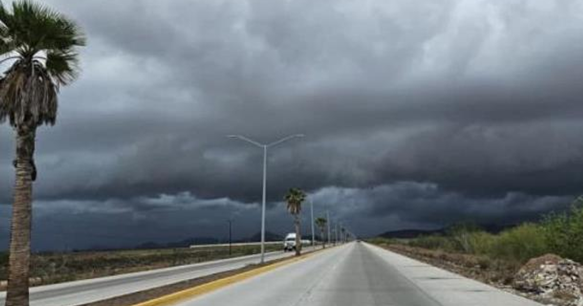 Carretera desierta en Los Mochis con cielo nublado y palmeras