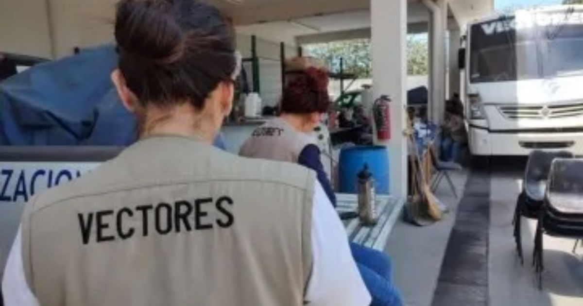 Personas trabajando en control de vectores en Sinaloa, con un autobús y herramientas al fondo.