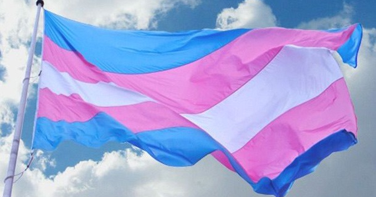 Bandera transgénero con franjas azules, blancas y rosadas, simbolizando diversidad de género.