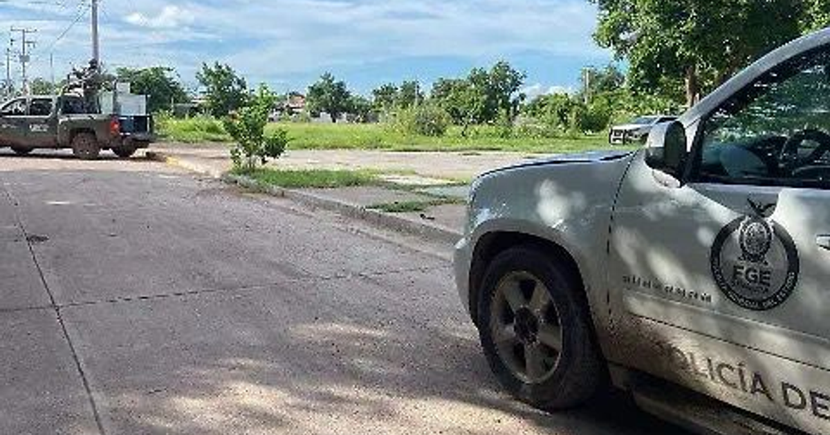 Automóvil de policía blanco y camioneta verde en una calle con árboles y cielo nublado.