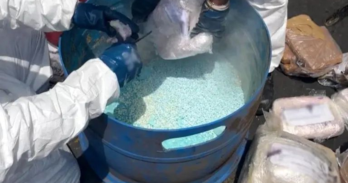 Técnico manipulando sustancias químicas en operativo de la FGR