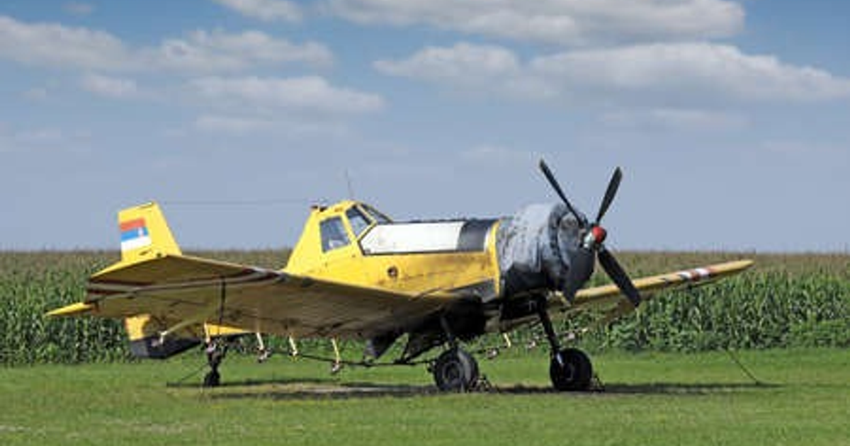 Avión agrícola amarillo estacionado en un campo con maíz al fondo y cielo despejado.