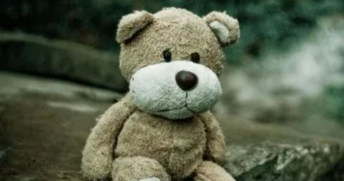 Oso de peluche marrón claro con detalles en blanco y marrón en un entorno natural desenfocado.