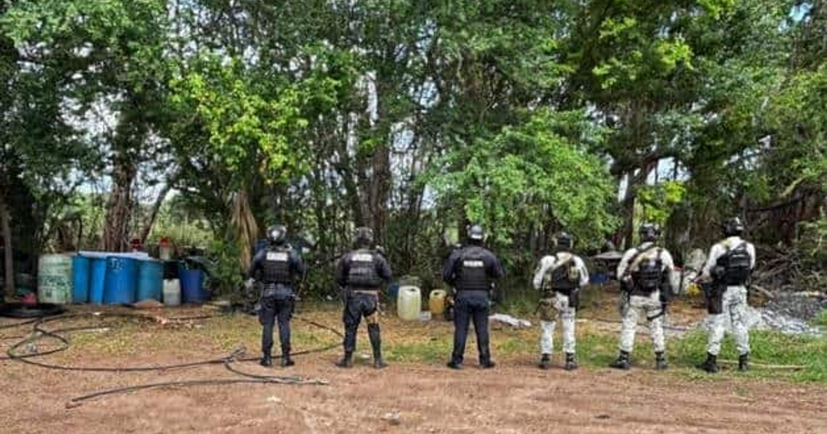 Fuerzas de seguridad inspeccionan área boscosa con tambores azules en operativo antidrogas en Sinaloa.
