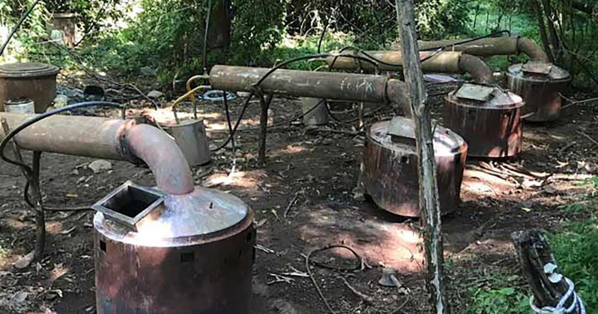 Alambiques metálicos en entorno natural, posibles destiladores clandestinos.