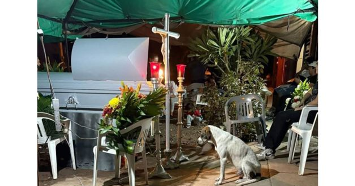 Funeral de Don Leonardo con su perro 'El Pinto' junto al ataúd en Los Mochis.