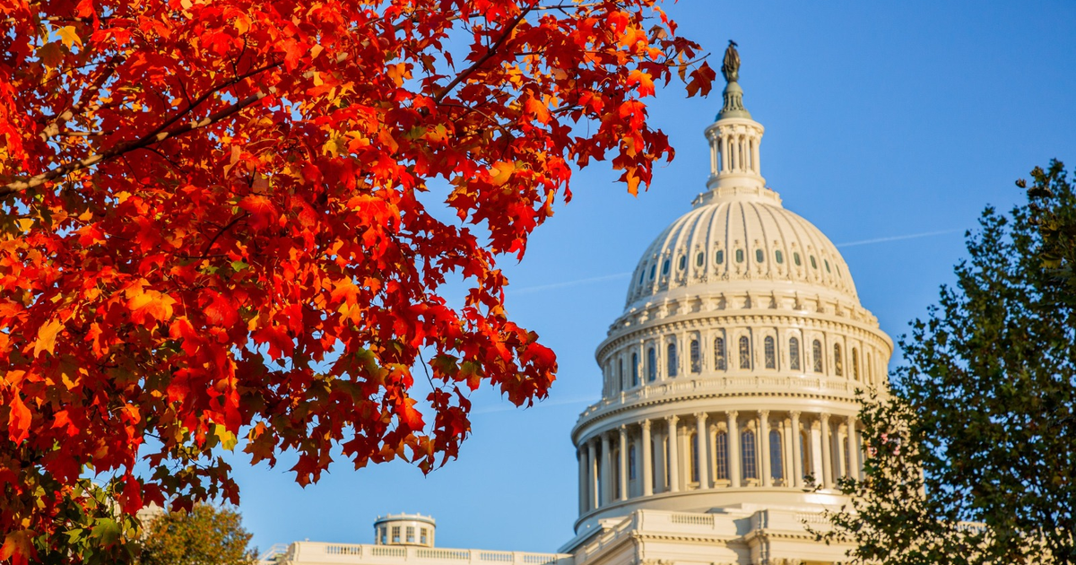 Capitolio con cielo claro y árbol de hojas rojas en otoño