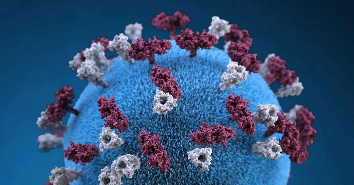 Modelo tridimensional de un virus con colores azul, rojo y blanco, representando proteínas de superficie.