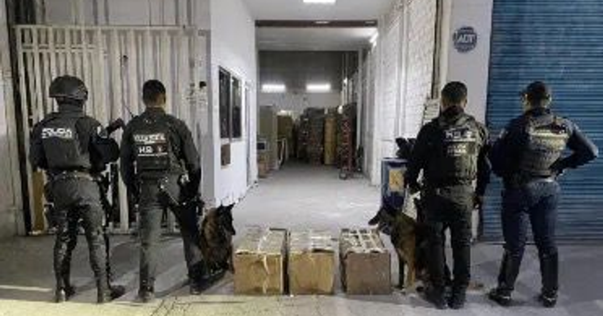 Agentes de seguridad inspeccionan paquetes con perros en un almacén durante un operativo antidrogas en Guadalajara.