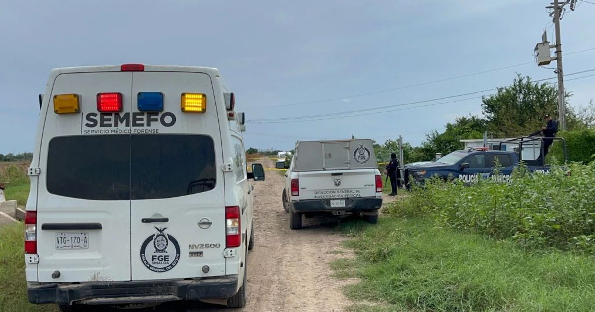 Vehículos de emergencia y seguridad en escena de investigación forense en San Pedro, Sinaloa.