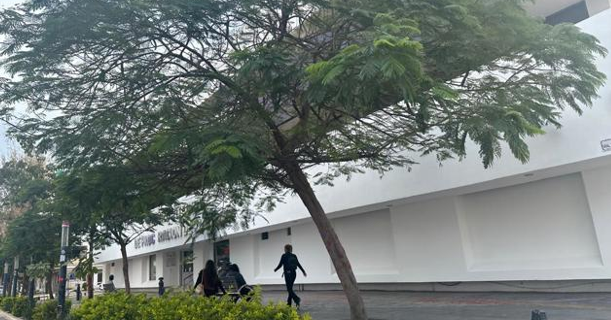 Paisaje urbano con árbol frondoso, edificio blanco y personas caminando en un día soleado.