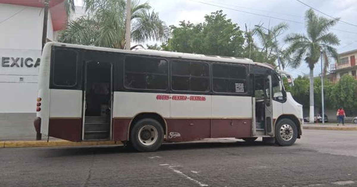 Autobús de la ruta CUCAS-Centro estacionado en Culiacán con puerta abierta y fondo de palmeras.