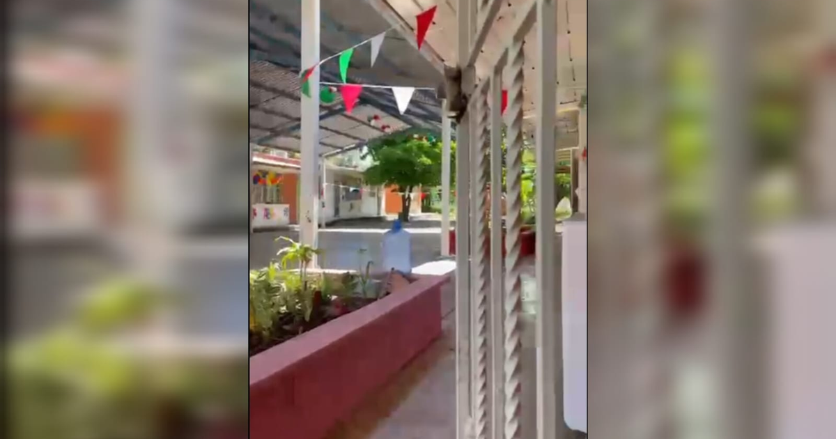 Vista exterior de un campus escolar con banderas y plantas en un día soleado
