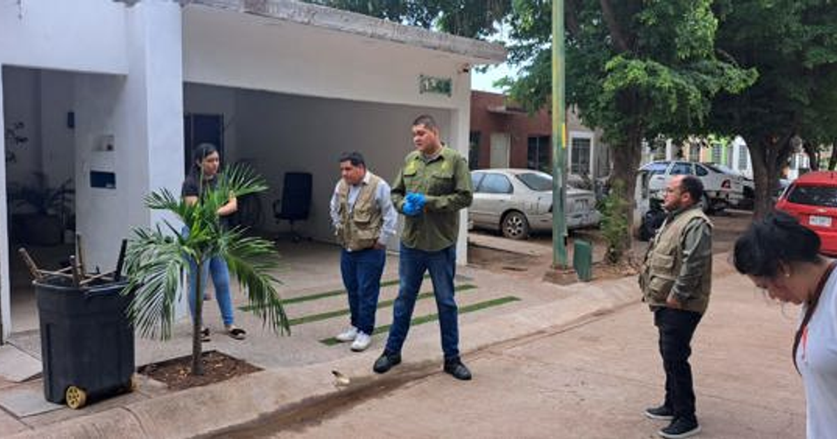Residentes de Culiacán en un entorno urbano discuten sobre la infestación de garrapatas en el Fraccionamiento San Fermín.