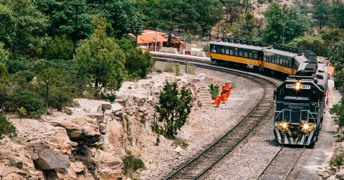 Tren en movimiento sobre vía rodeada de vegetación y estructuras en Guasave, Sinaloa.