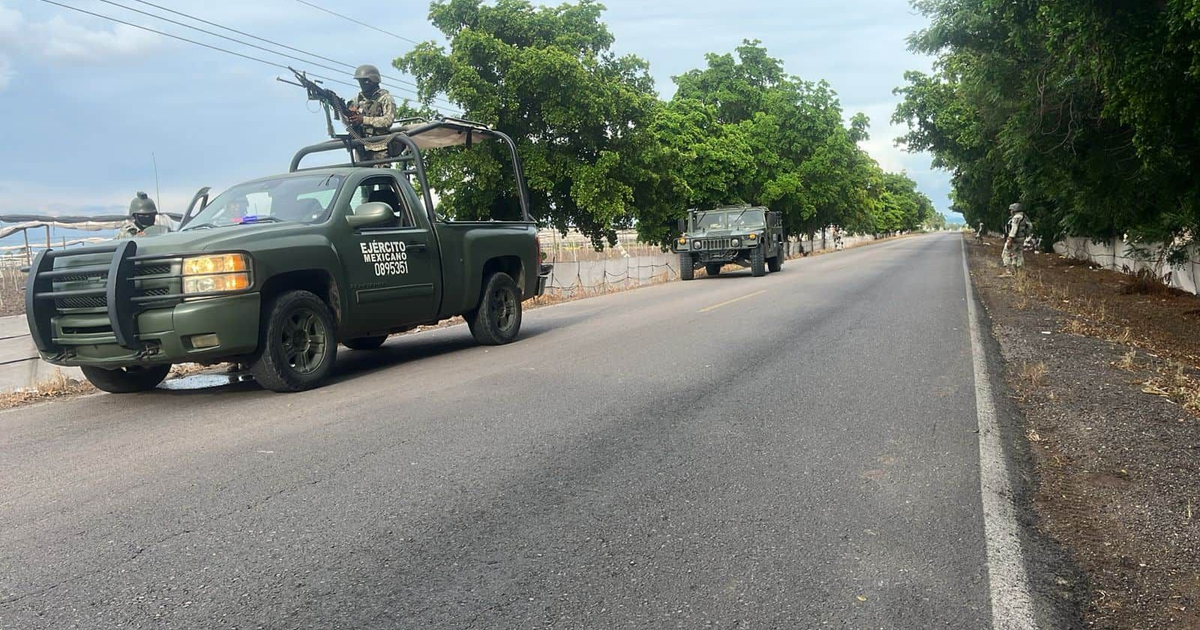 Vehículos militares del Ejército Mexicano en carretera rodeada de árboles, con un soldado de pie al lado, en un operativo de seguridad en Sinaloa.