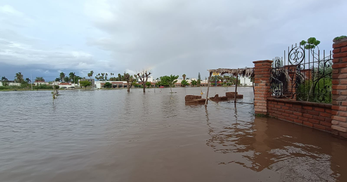 Inundación en el Jardín Botánico Benjamín Francis Johnston con árboles y estructuras emergiendo del agua.
