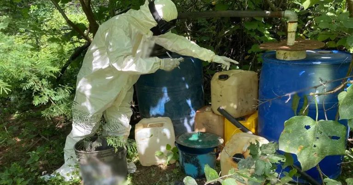 Persona con traje de protección blanca señalando barriles en un entorno natural, vinculado a la intervención del Ejército en Sinaloa.