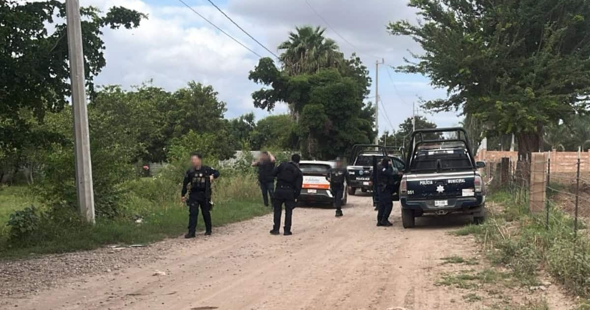 Policías y vehículos en camino rural de Navolato, Sinaloa, durante operativo por hallazgo de cuerpo.
