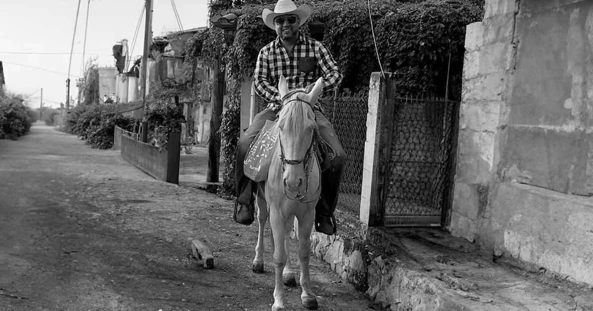 Hombre montando un caballo blanco en un camino rural, rodeado de vegetación y edificios, en blanco y negro.