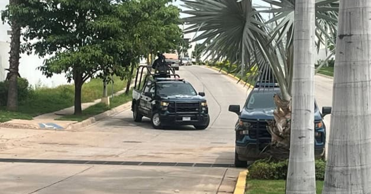 Vehículos blindados en operativo de seguridad en Culiacán, rodeados de árboles y palmeras.