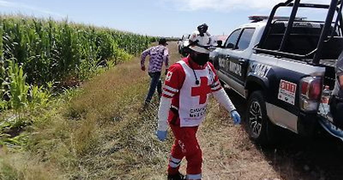 Miembro de la Cruz Roja en campo rural tras accidente de avioneta en Sinaloa