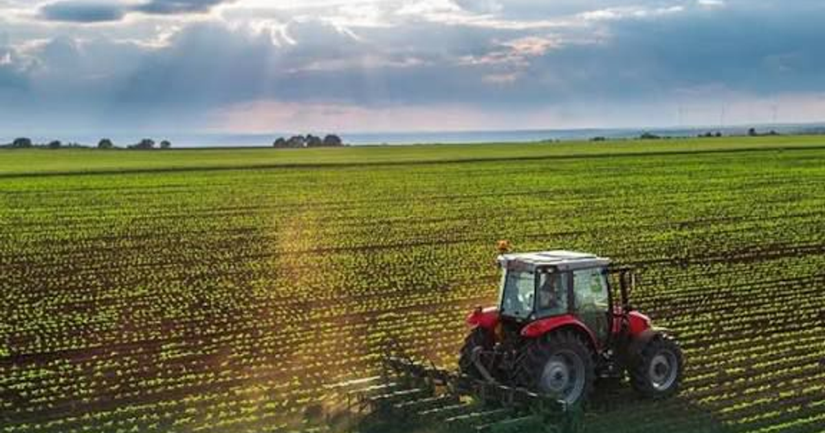 Tractor rojo en campo agrícola con cielo nublado, relacionado con protesta de productores en Guadalajara 2025.