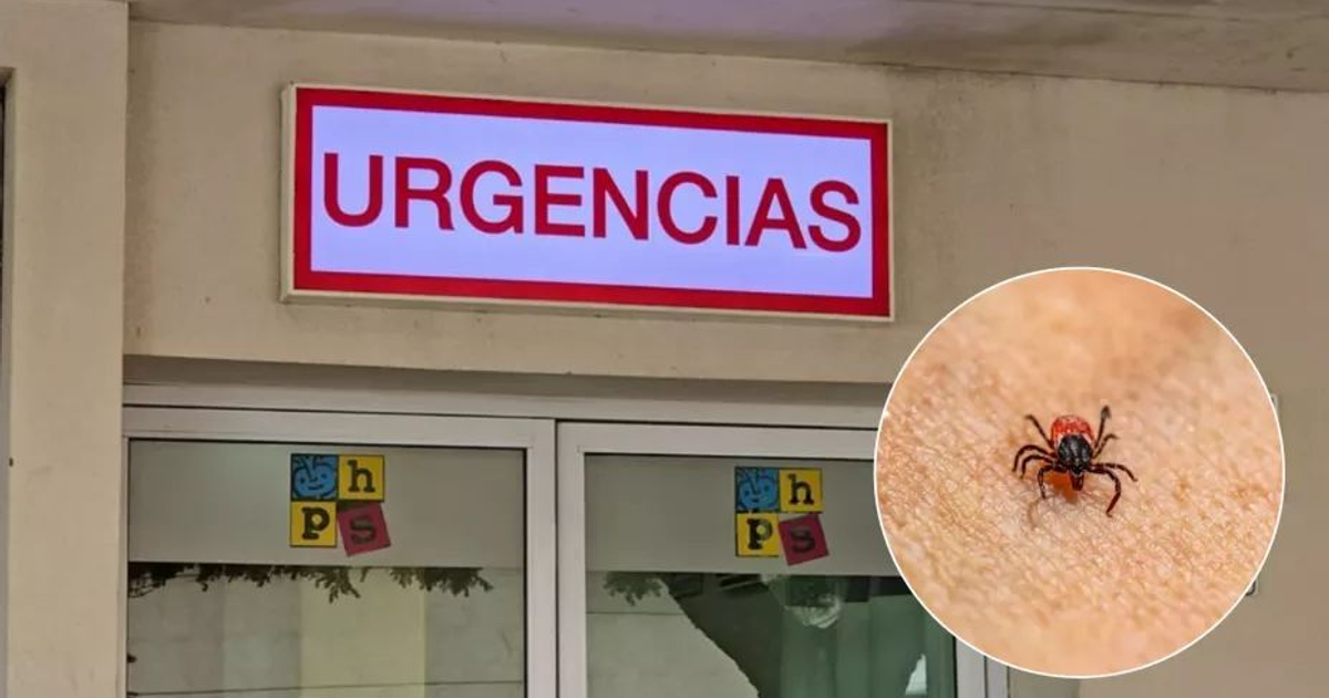 Entrada a urgencias médicas con imagen de garrapata, relacionada con casos de rickettsia en Sinaloa.