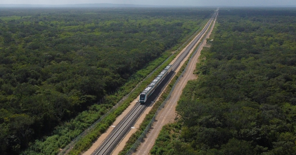 Tren en movimiento sobre vías en un paisaje boscoso con camino de tierra, relacionado con el Tren Maya en Cancún.