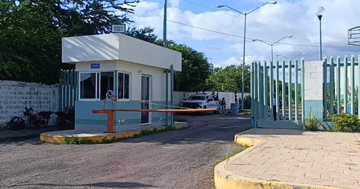 Acceso de seguridad en carretera con barrera de entrada, vehículos estacionados, árboles y pared al fondo, cielo parcialmente nublado.