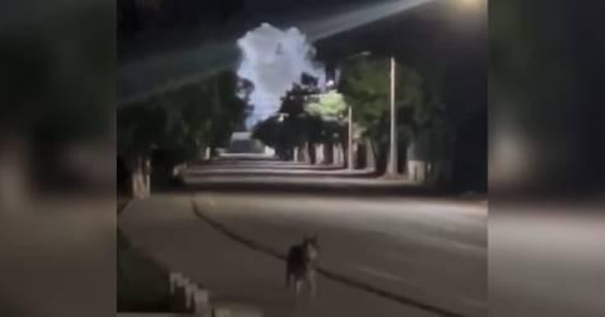 Calle desierta en Tepuche con luces de farolas y un perro a lo lejos, tras ataque nocturno con drones.