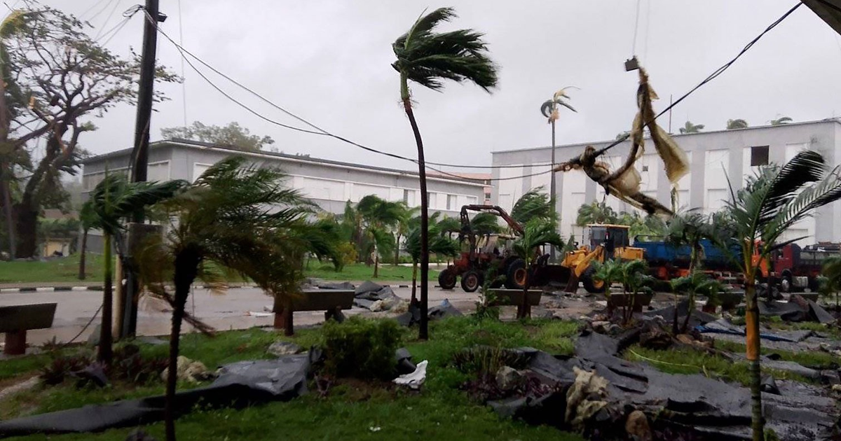 Paisaje cubano afectado por el Huracán Melissa con árboles inclinados y cielo nublado