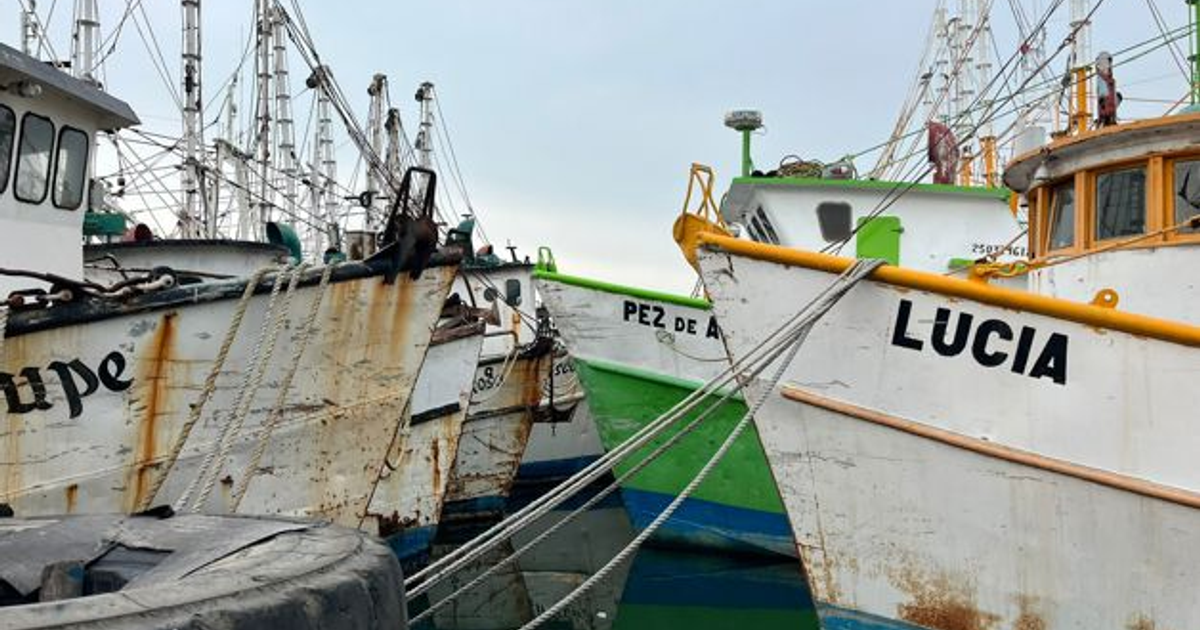 Barcos pesqueros amarrados en Mazatlán por huracán Priscilla