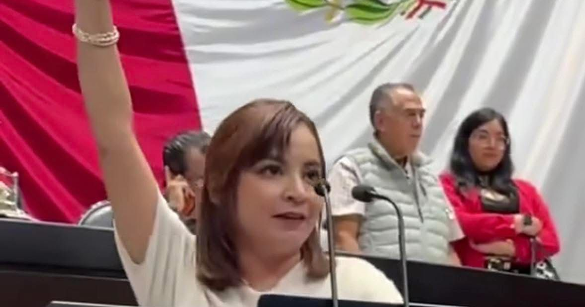 Diputada Iraís Reyes hablando en un evento legislativo con la bandera de México detrás.