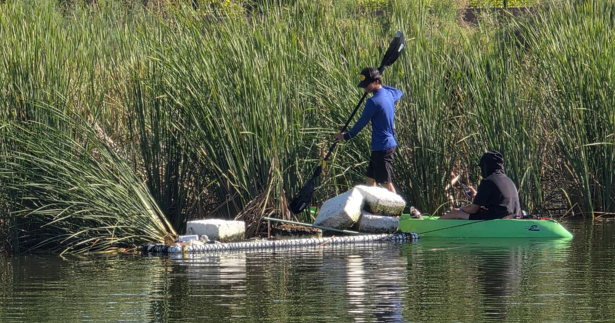 Personas en kayak y estructura flotante durante limpieza en laguna El Camarón