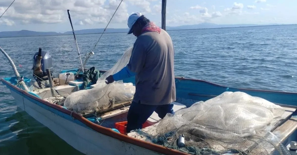 Pescador en bote con redes en Costa Azul, montañas al fondo
