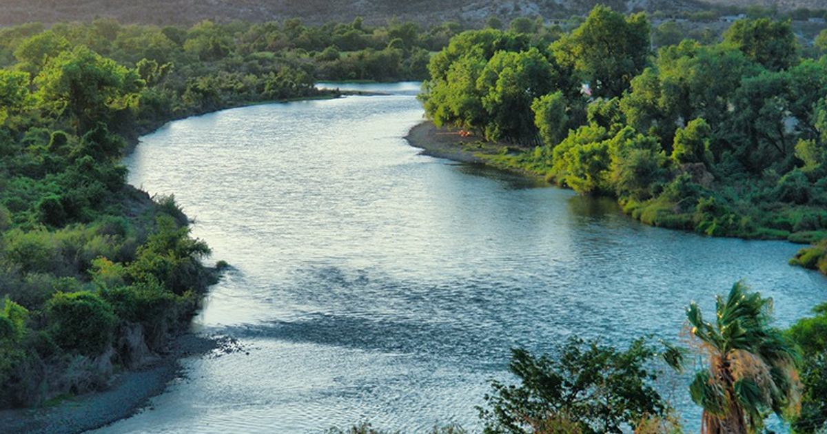Río serpenteando en un paisaje verde en El Fuerte, Sinaloa, con reflejos del sol en el agua.
