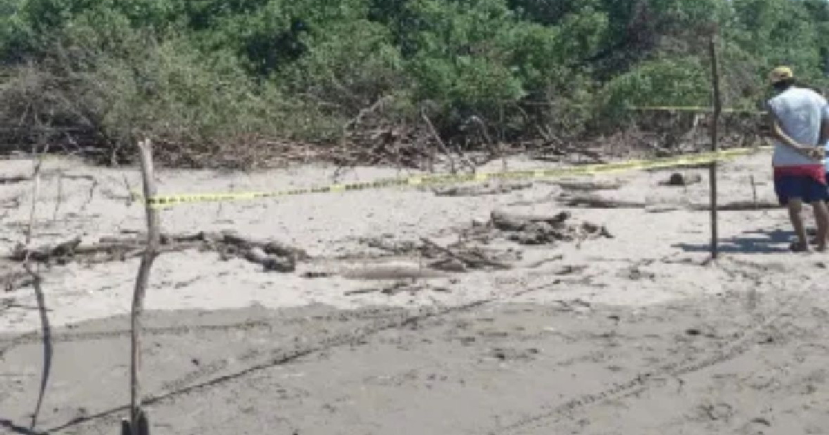 Escena de hallazgo de restos óseos en playa El Majahual, Sinaloa, con área acordonada y observador.