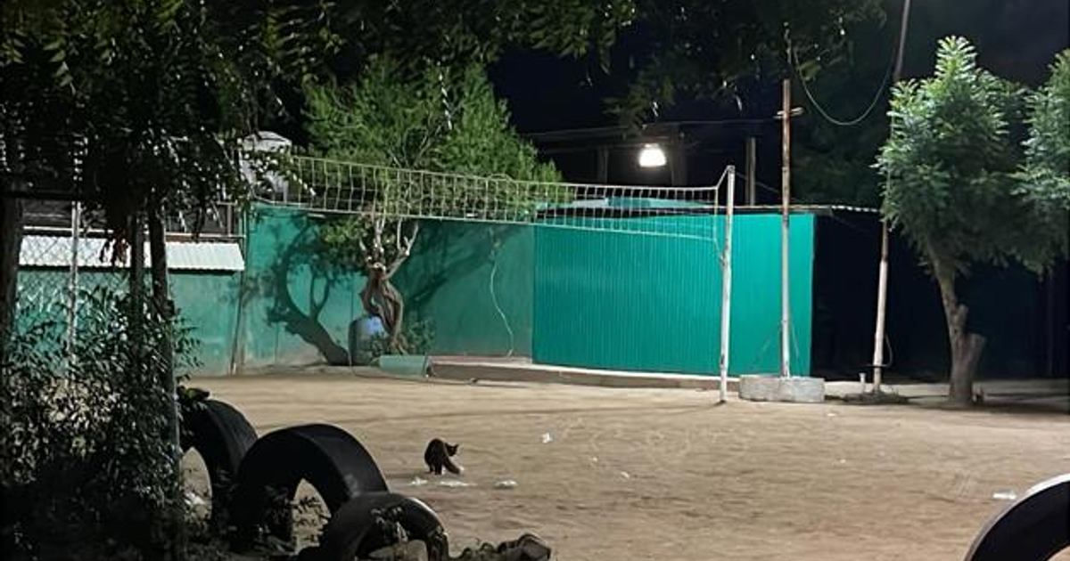 Campo de voleibol en Aguaruto, Culiacán, con red, pared verde, árboles y neumáticos, iluminado por una lámpara nocturna.