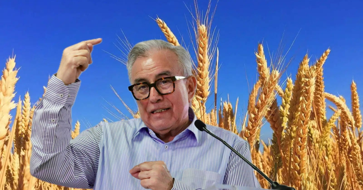 Gobernador Rubén Rocha Moya hablando frente a un campo de trigo bajo el cielo azul.