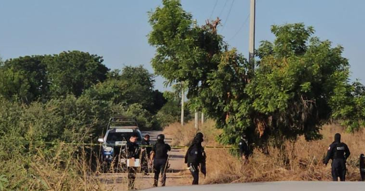 Investigación policial en camino rural de Navolato, con agentes y vehículo policial presentes.