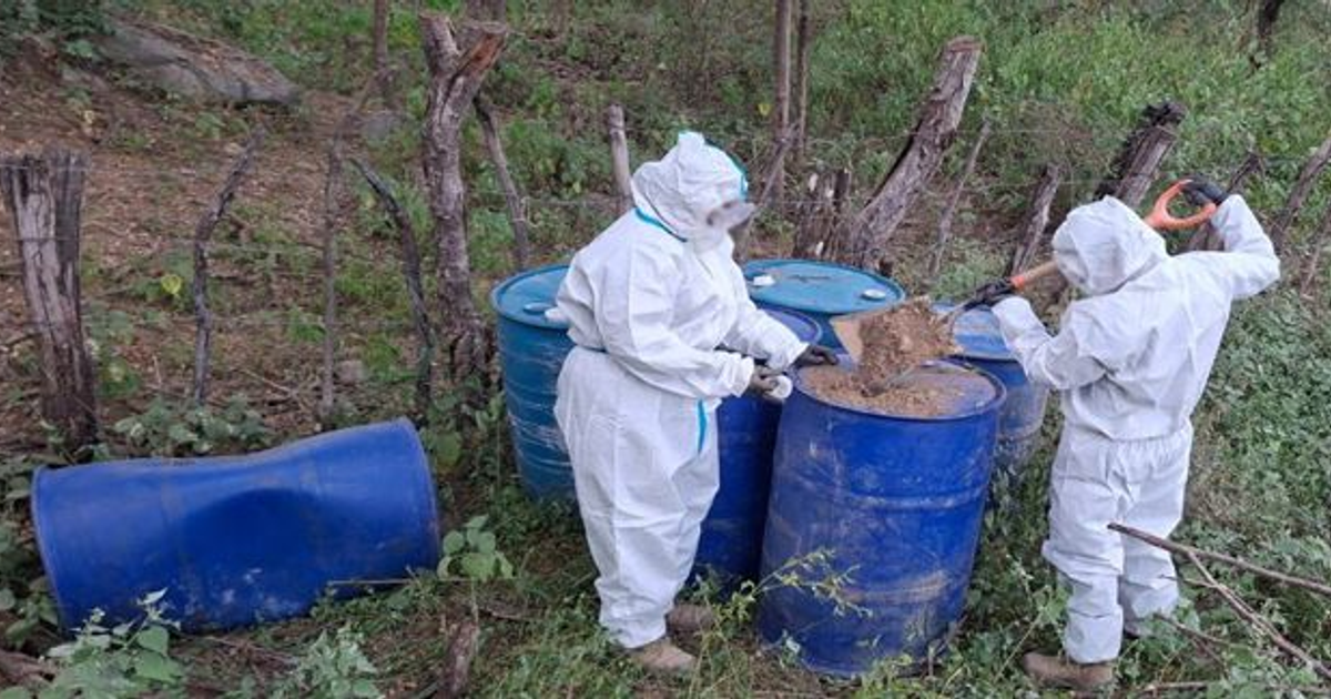 Personas con trajes de protección trabajando cerca de barriles azules en un entorno natural